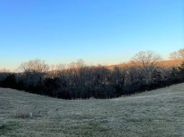 190 Emerald Pointe Drive, Hollister, MO 65672