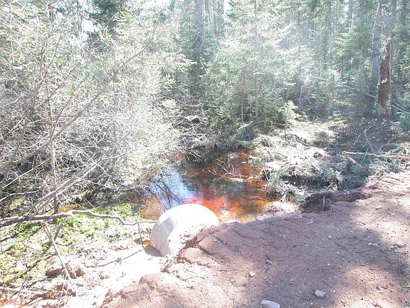 5th image of Lot 1 40 acres County Rd L