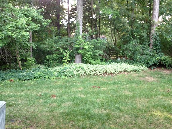 view out of living room sliding glass door