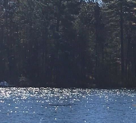 3rd image of 3572 Henry Hwy