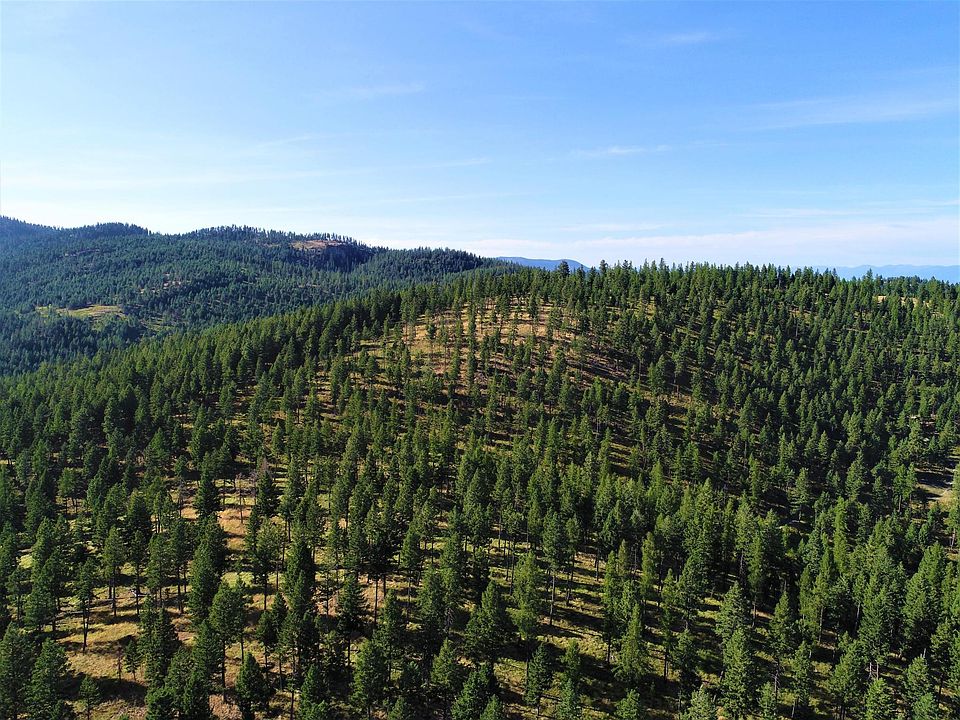 1st image of Nhn Spruce Hollow Trl