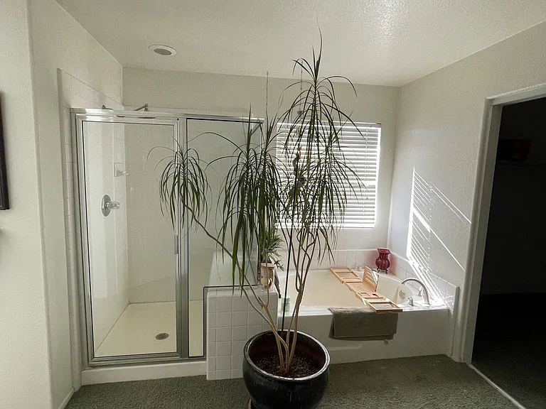 32889 Canyon Crest St — Photo 6