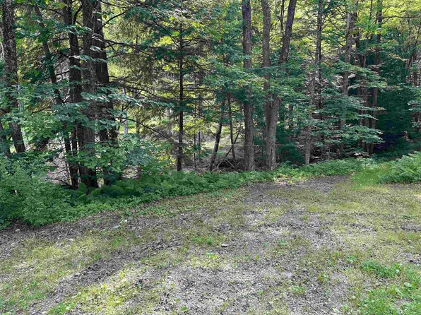 Gird Lot Road, Weathersfield, VT 05151