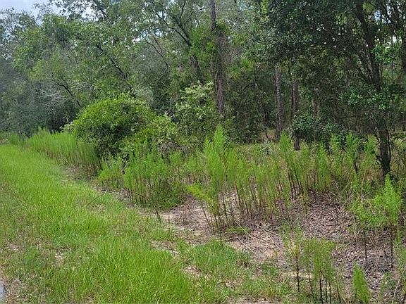 4th image of 0 NW HIGHVIEW AVENUE LOT 3