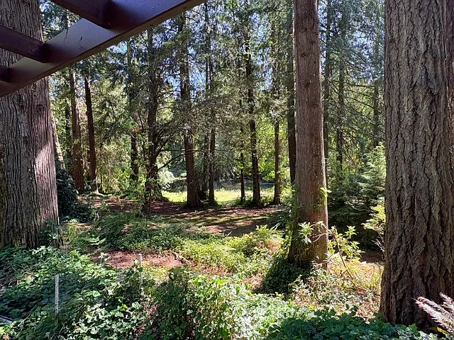 2118 Gravelly Beach Loop NW — Photo 5
