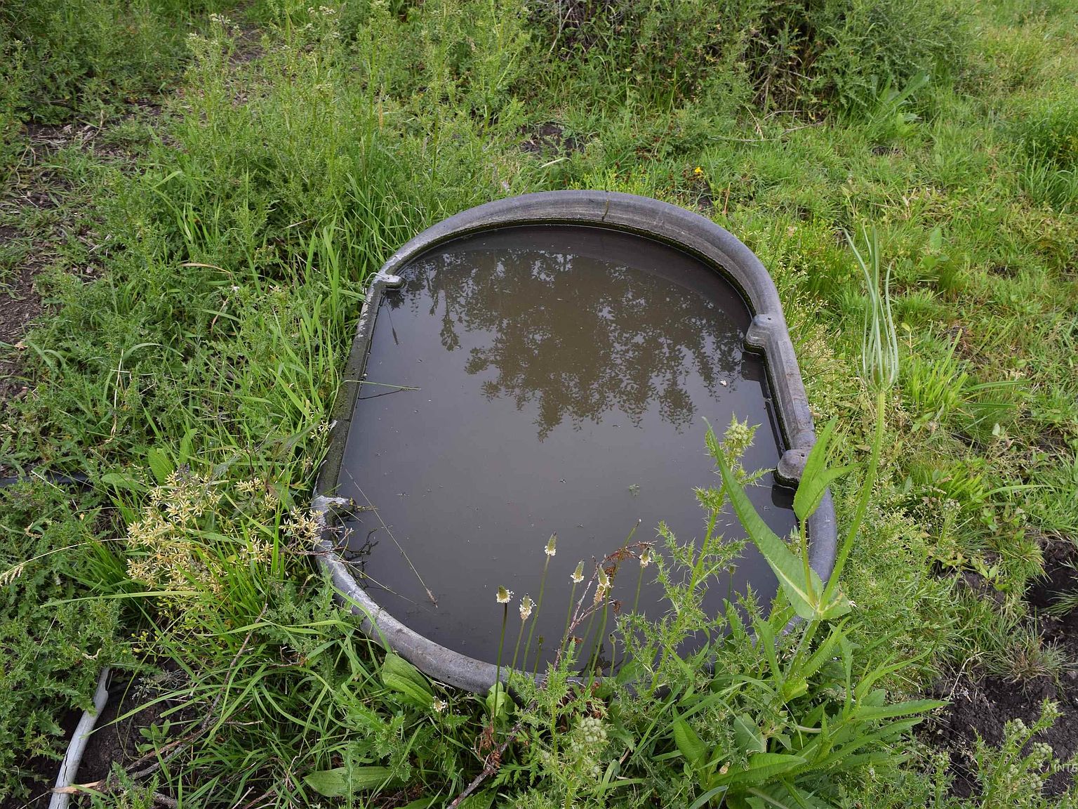 0 Mount Idaho Grade Rd, Grangeville, ID 83530 Zillow