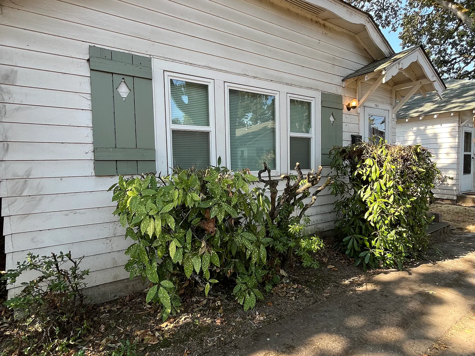 1 bed, 620 sqft, $1,195 — Photo 3