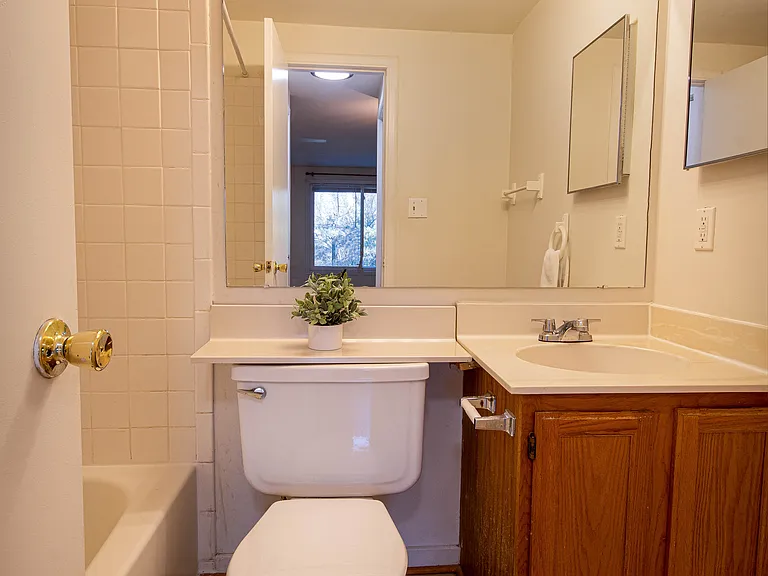 Primary Full Bathroom