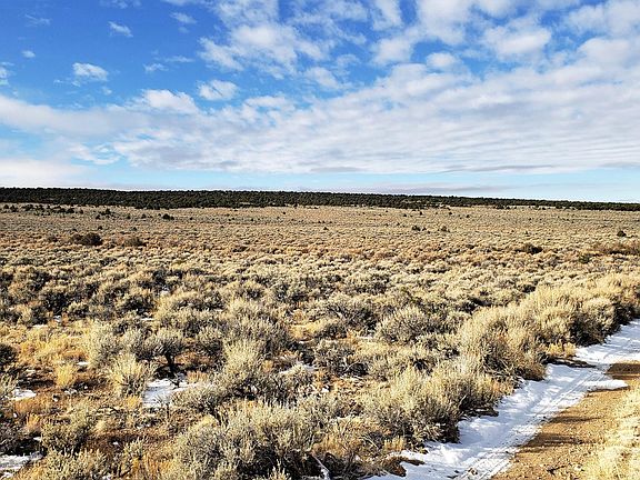 4th image of 21909 County Road 5