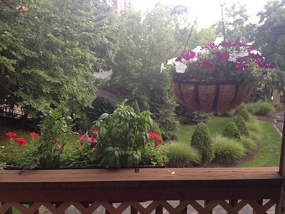 View from porch