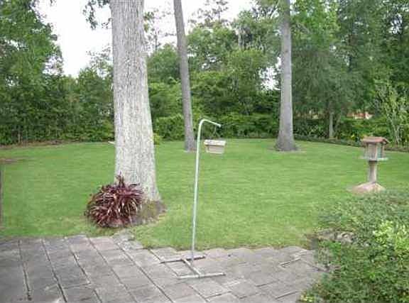 5th image of 1906 Sholars Ave