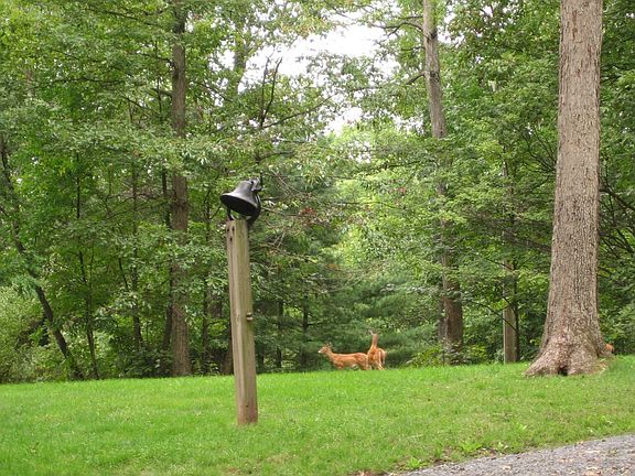 More front yard
