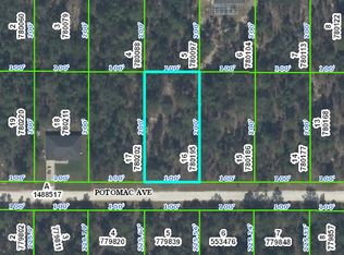 00 Potomac, Weeki Wachee, FL 34614