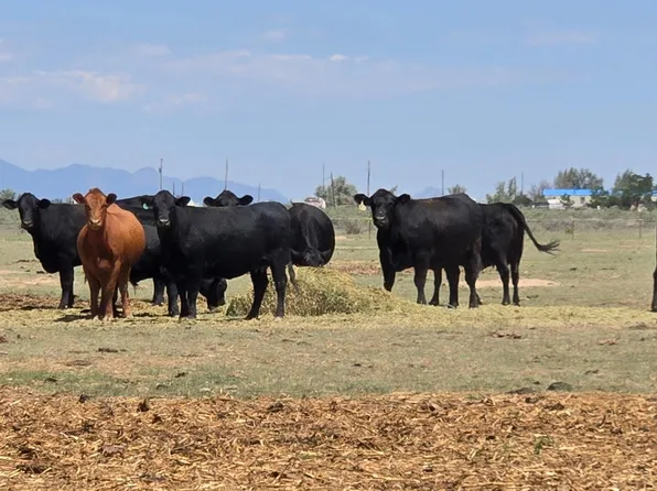 Xx Ash St, Moriarty, NM 87035