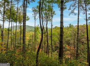 1 Chief Whitetails Rd, Ellijay, GA 30540