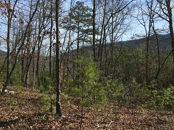 LOT 12 Asheland Cove Dr, Young Harris, GA 30582