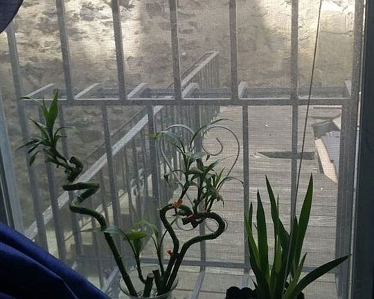 5th image of 5707 Hudson Ave APT 1