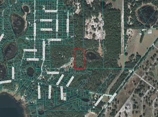 Tbd Ne 235 St, Fort McCoy, FL 32134