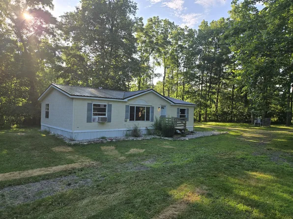 133 E Nettleman Rd, Coldwater, MI 49036