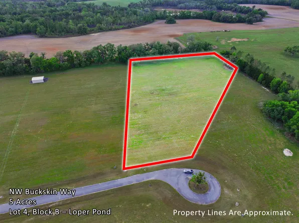 Vacant Nw Buckskin Way, Madison, FL 32340