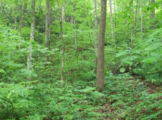 128 Springside Way, Townsend, TN 37882