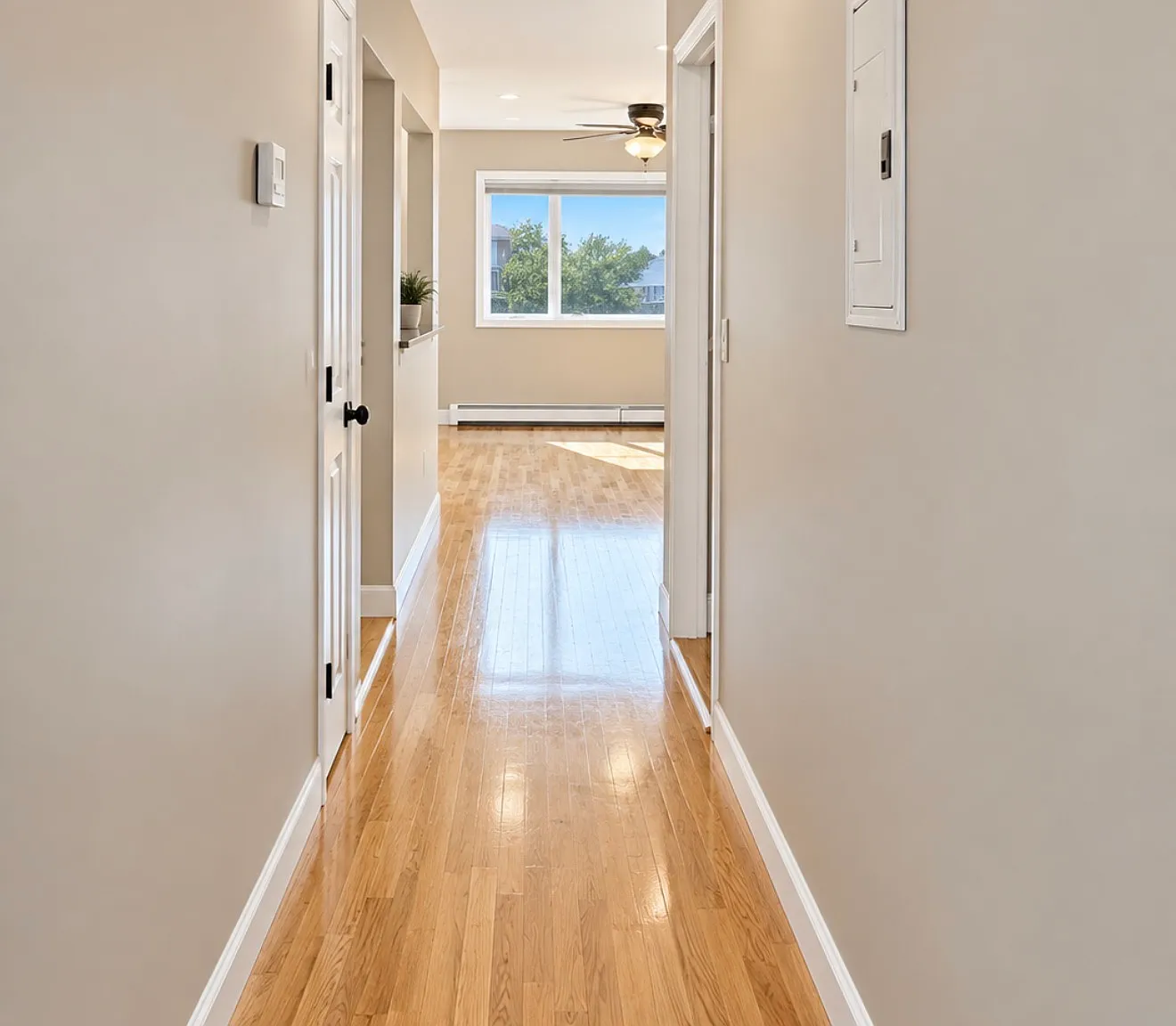 3 bed, 1260 sqft, $3,500 — Photo 4