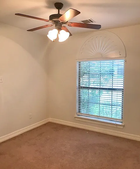 3905 Tournay Ln — Photo 19