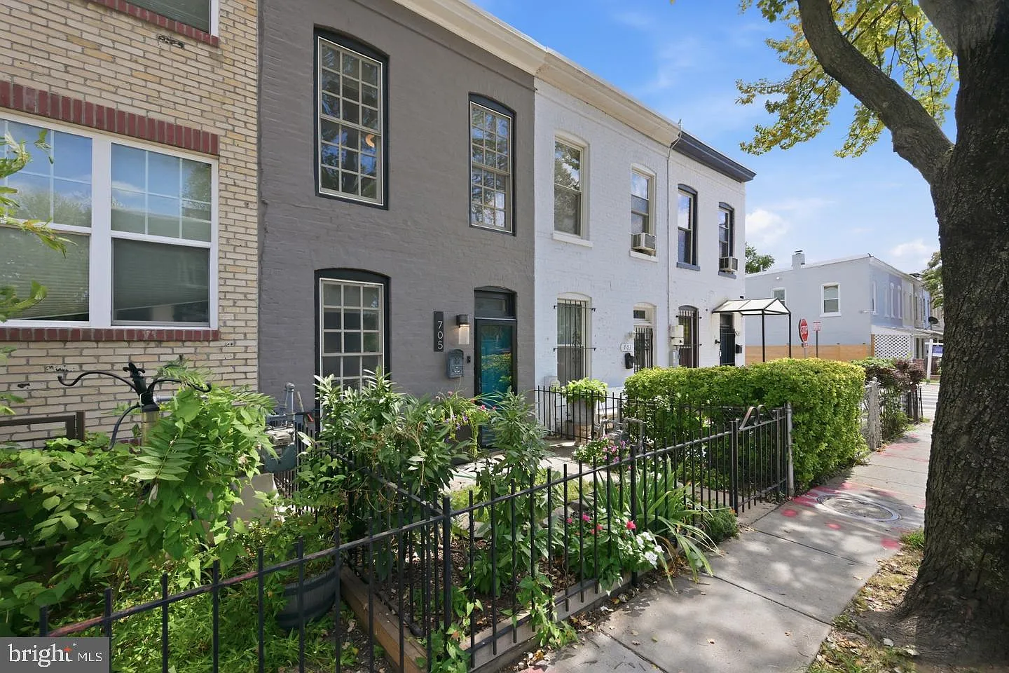 2 bed, 1.5 bath, 1270 sqft, $3,000 — Photo 3