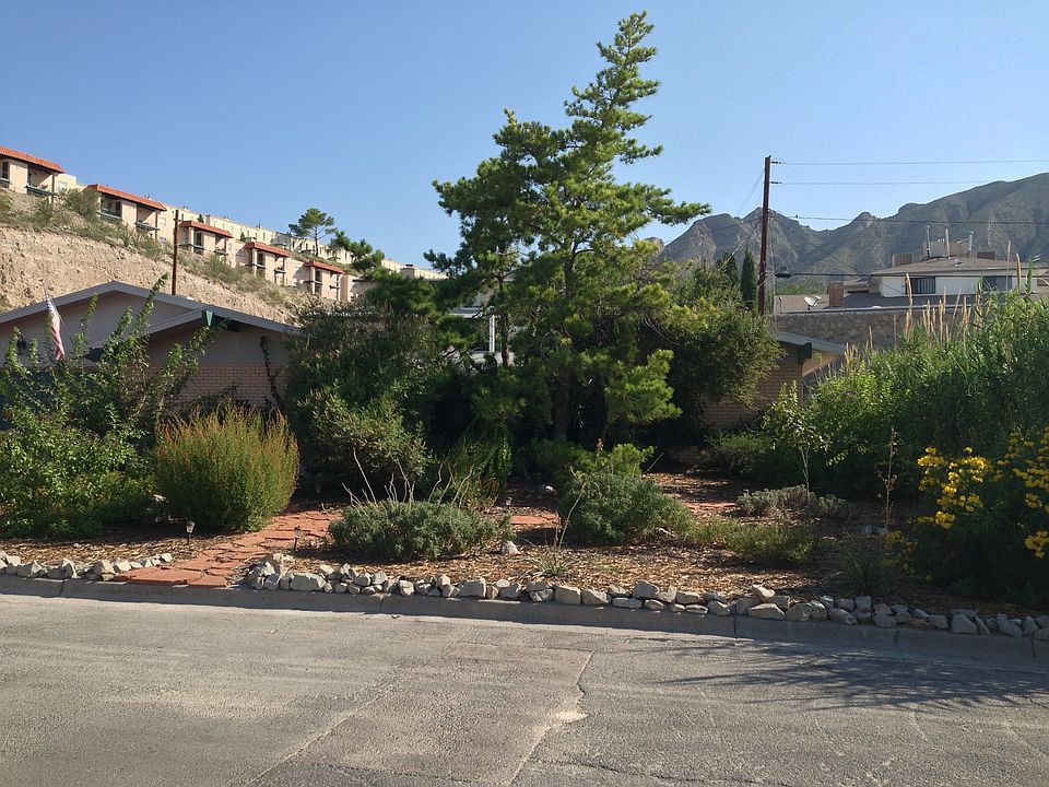 Mature Xeriscaped Lawn