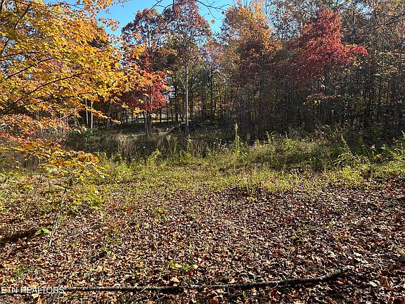 2nd image of 1665 Hollis Poore Rd