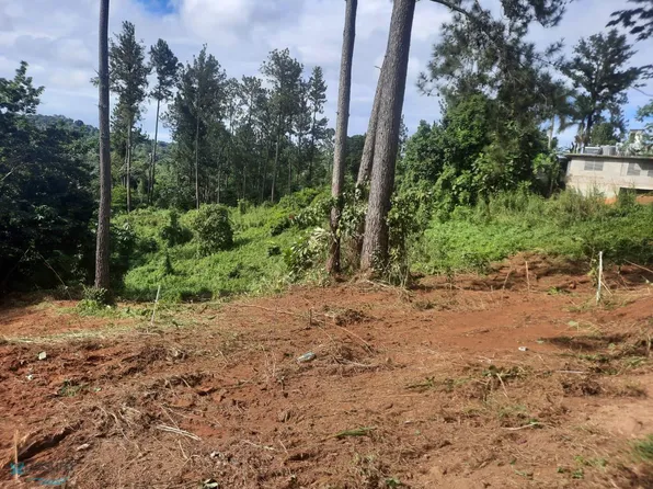 Km 1.65 Carr 3301 Parcela #A, Moca, PR 00676