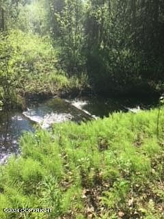 3rd image of 23060 W Parks Hwy