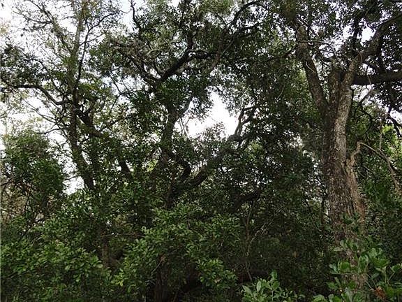 4th image of 6 Gruene Wald