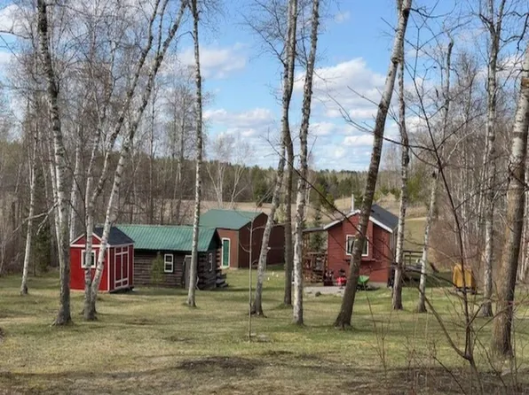 24233 Field Ln, Nevis, MN 56467