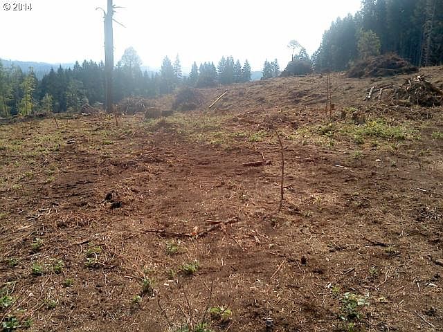2nd image of Murdock Rd
