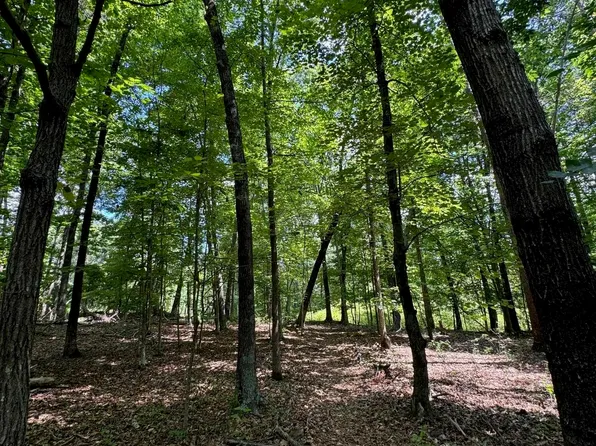 Barracksdale Ln, Charlottesville, VA 22901