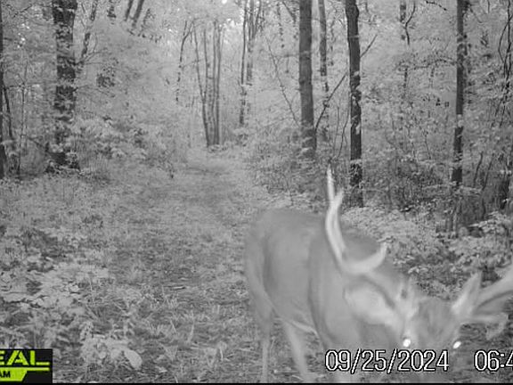 5th image of 0 Fieldon Hollow Rd