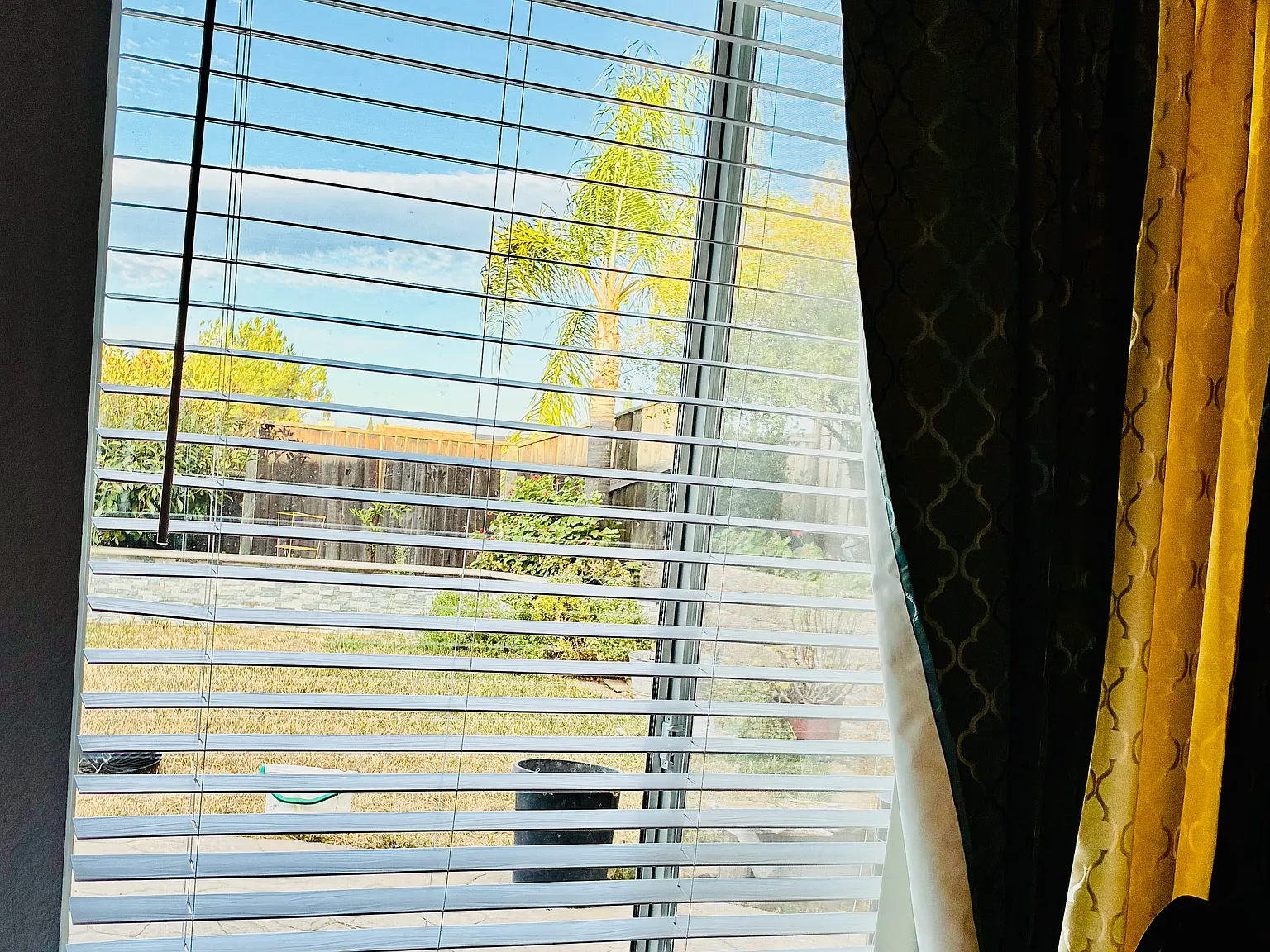 1 bed, $1,000 — Photo 3