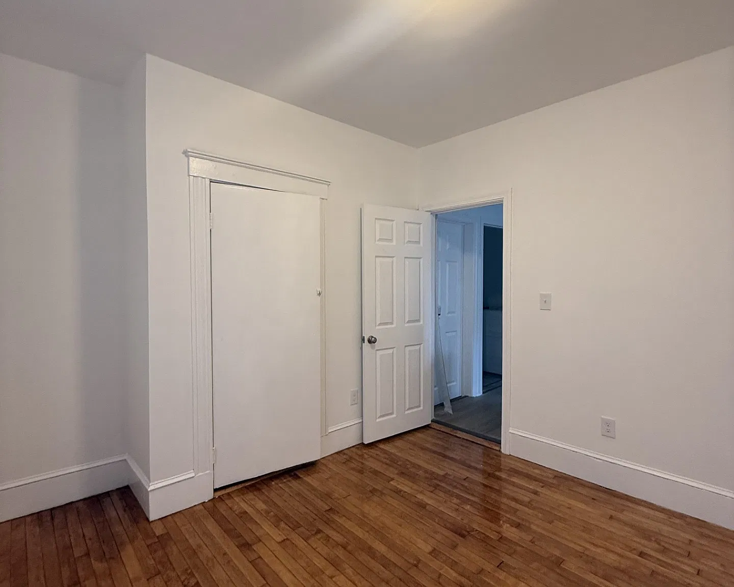 1 bed, 482 sqft, $1,800 — Photo 3