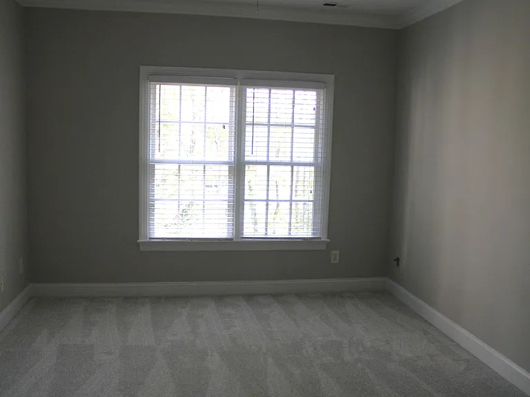 1345 Cameron View Ct — Photo 12