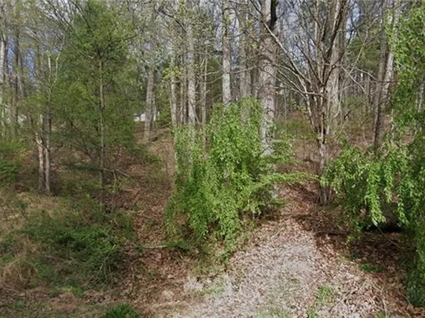 Laurel Mountain Rd, North Wilkesboro, NC 28659