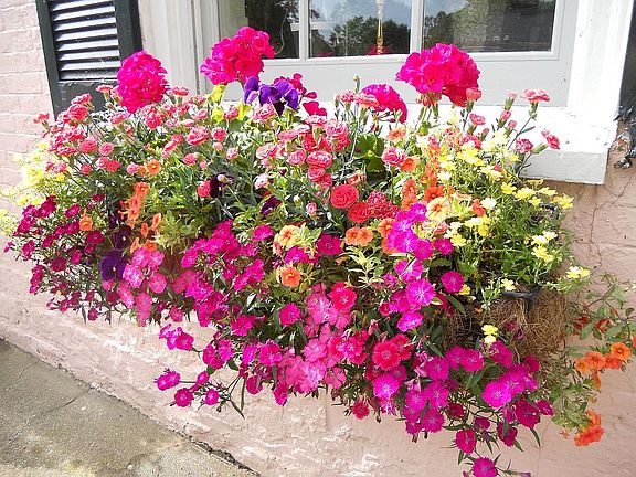 You’ll love the window boxes