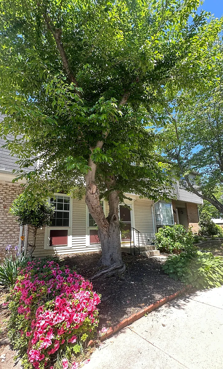 Building Photo - 11553 Sullnick Way