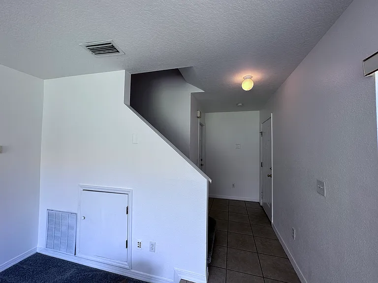 307 Coconut Palm Way — Photo 3