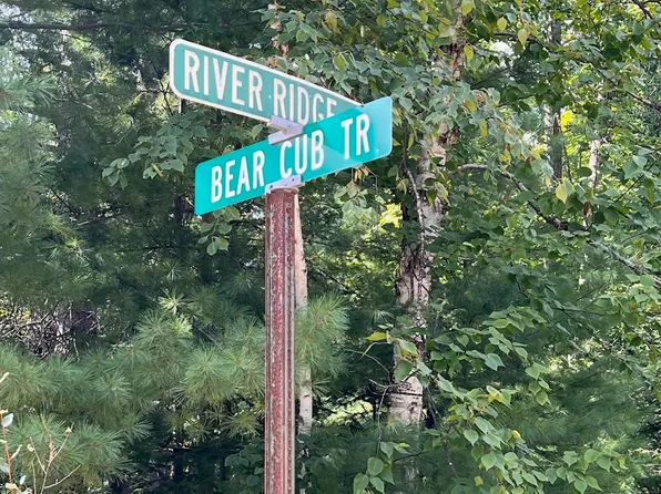 N/a Bear Cub Trl, Alger, MI 48610