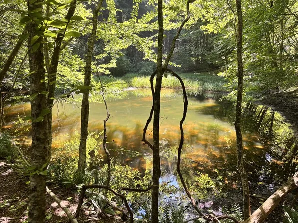 Calvary Way Rd, Laurel Fork, VA 24352