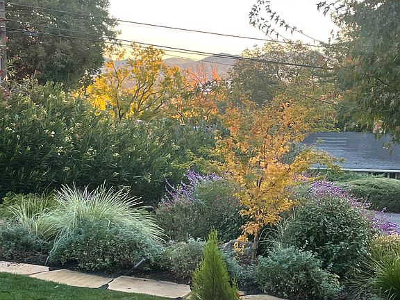 View from front porch