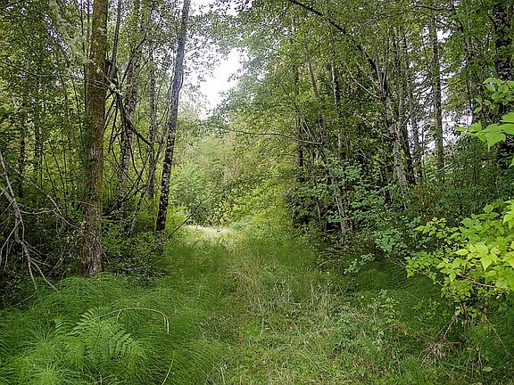 2nd image of 2625 67th Ave NW