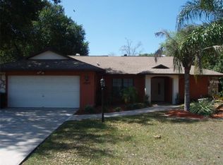 10253 Horizon Dr, Spring Hill, FL 34608