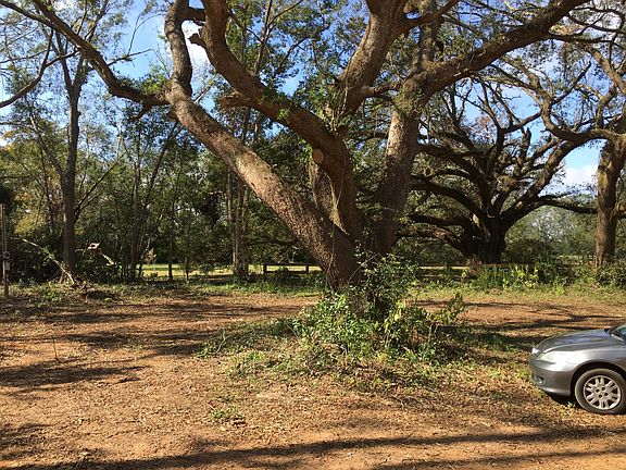 The view from the front door.